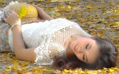 迈开腿让我亲亲你的小森林